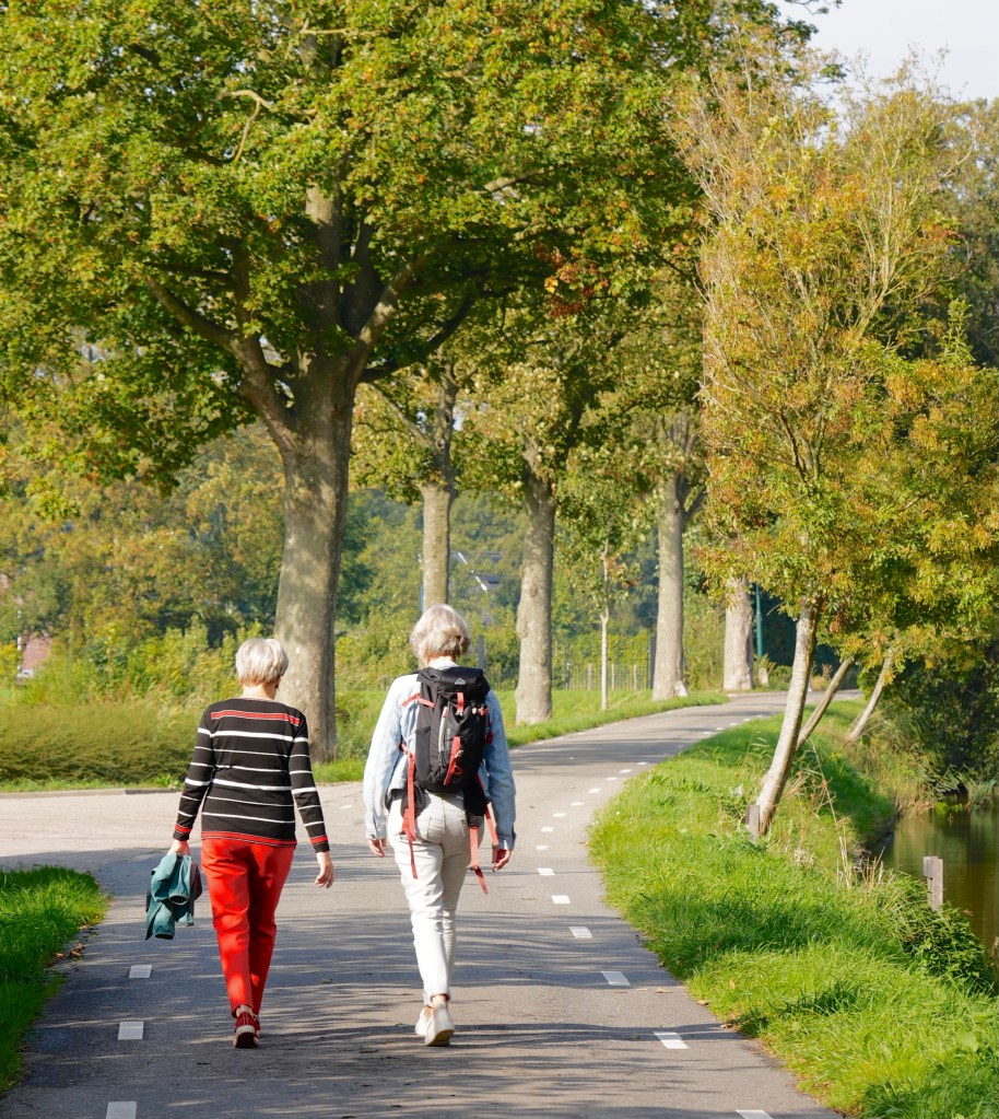 Wandelcoaching Montfoort, Linschoten, Woerden, Utrecht, Gouda, Vleuten, Montfoort, Kamerik, Schoonhoven, De Meern, Bodegraven, Alphen aan den Rijn, Zeist, Driebergen.